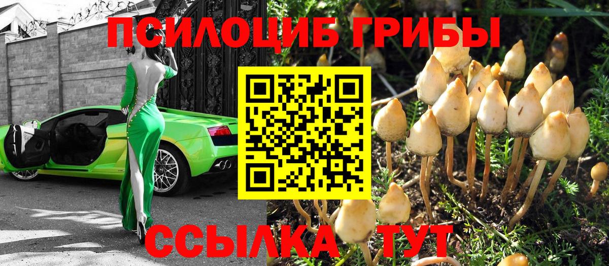 Псилоцибиновые грибы мицелий Можайск