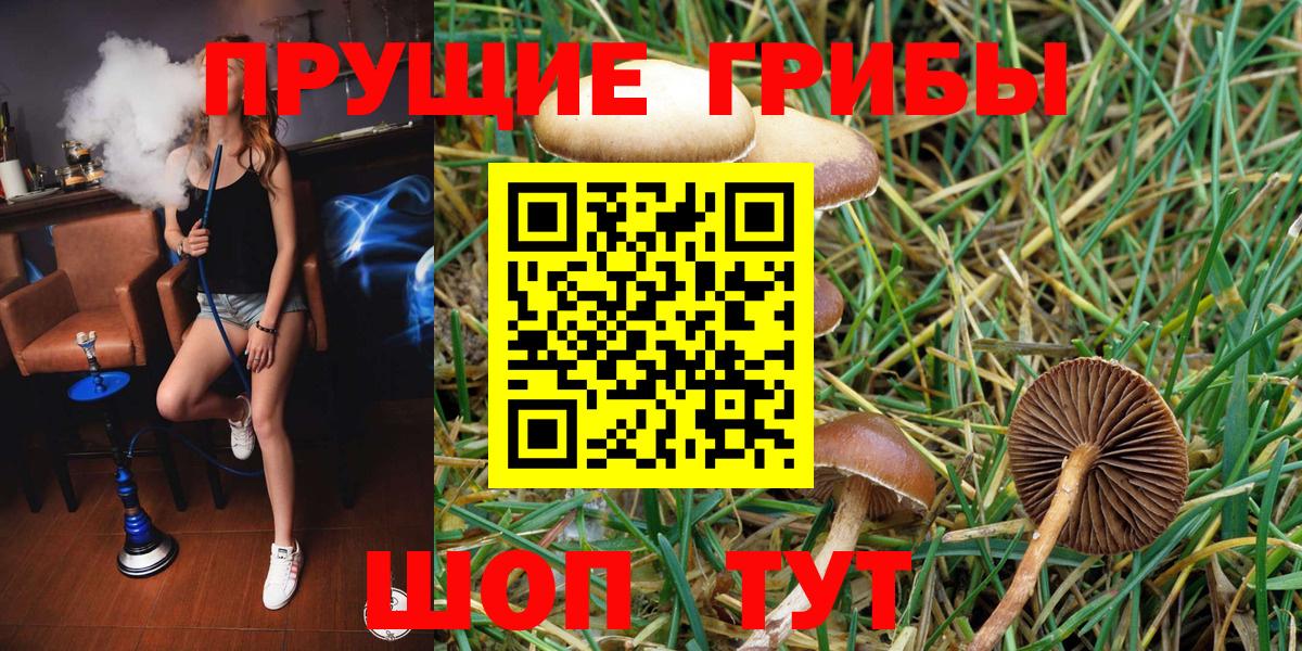 Галлюциногенные грибы MAGIC MUSHROOMS  Галлюциногенные грибы Cubensis  что такое наркотик  Вход с VPN  Можайск 
